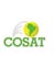 logo cosat